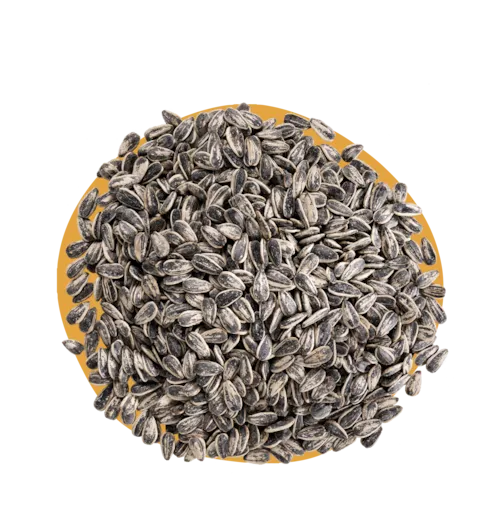 Graines de tournesol grillées salées